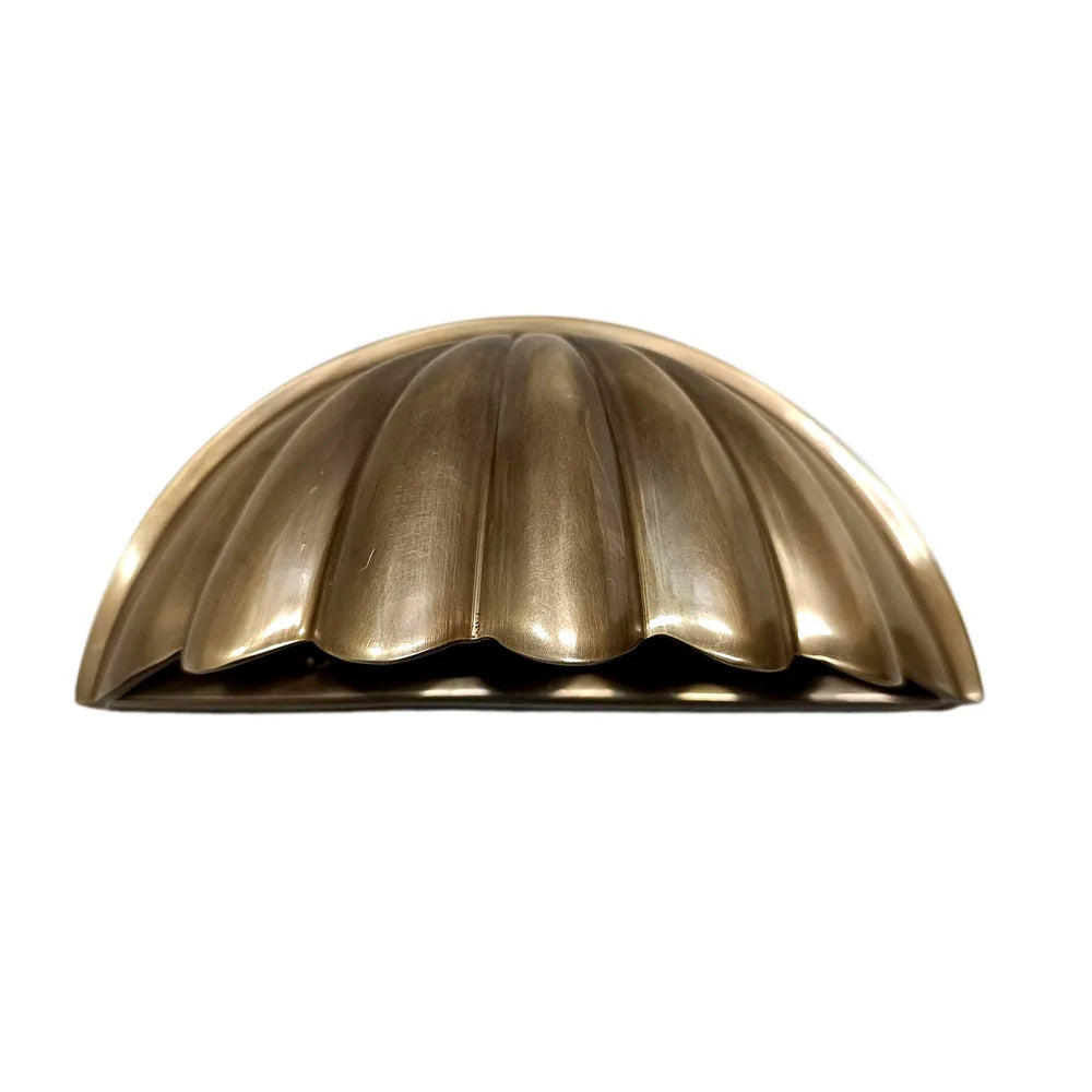 Half Moon Shell Shade Wall Light