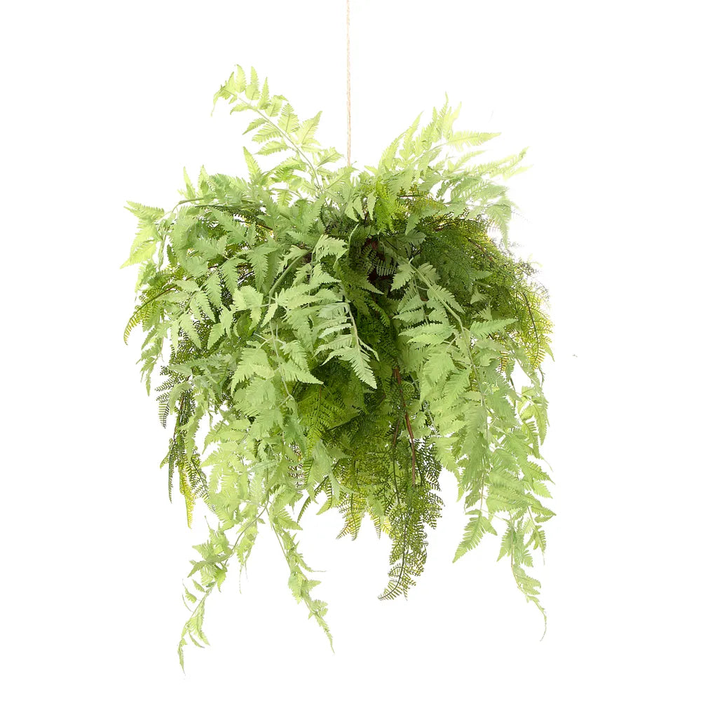 Fern Hanging 75cm