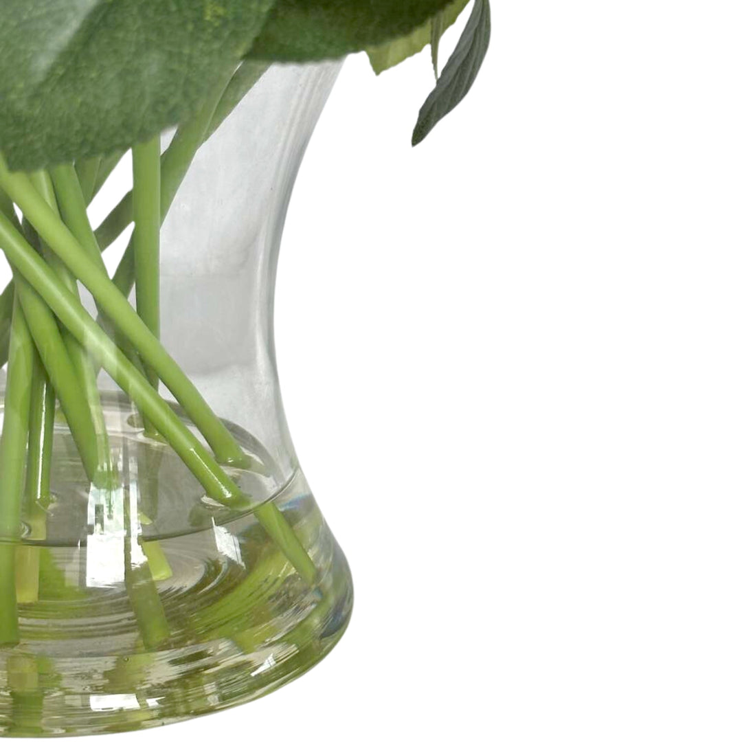 Rose in Glass Vase White