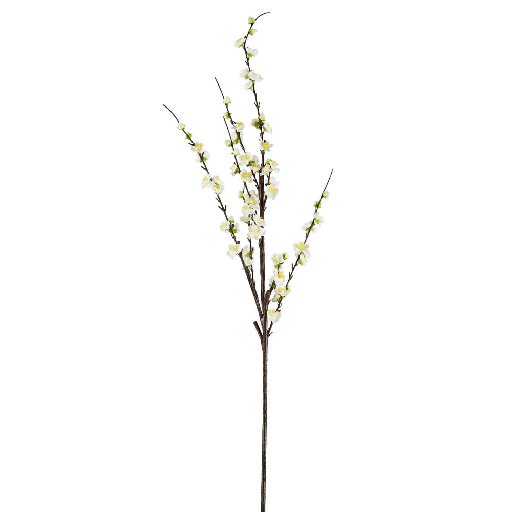 Japonica Blossom Stem 120cm White