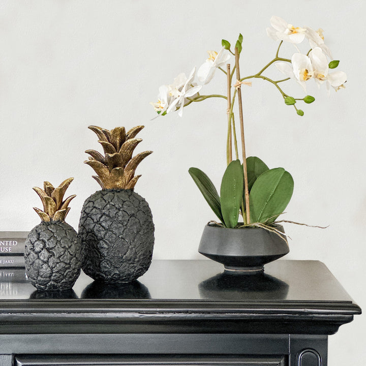 Peson Pineapple Black Small