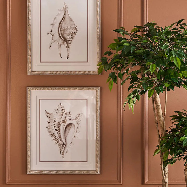 Conch Shell Wall Art A