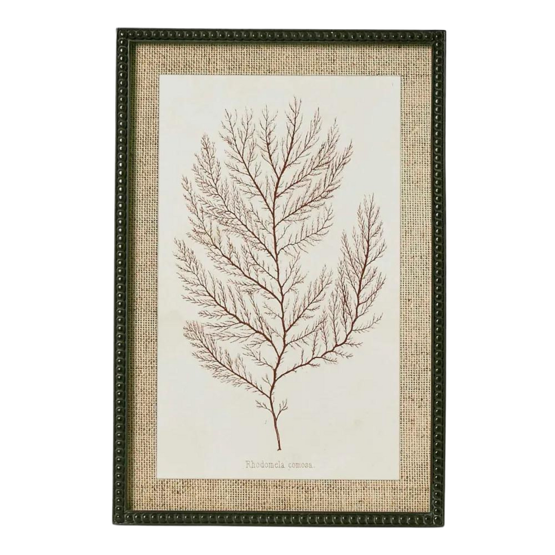 Sepia Coral Wall Art C